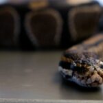 Isreali Officals Tells Media  Iran’s Longtime Supreme Leader Khamenei Dead After Strikes