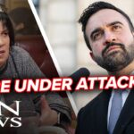 Foiled Assassination Plot Against NYC Pro-Hamas Activist , Suspect Arrested