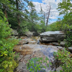 The Best Things to Do in the Poconos for Fall Fun