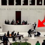 UN panel accuses Israel of genocide as assembly debates ceasefire call