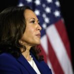 Nothing to See; Georgia Election Chief  Dismisses “Suitcase full of Votes” Video as Normal Procedure