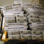 ‘Shocked And Panicked’: New Yorkers Receive Invalid Ballots With Wrong Names, Addresses Sparking Confusion