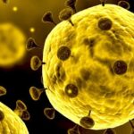 Bill Gates in 2015: Predicted Coronavirus in 2015: WATCH VIDEO