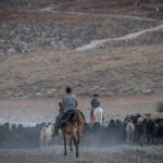 Foreigners Allowed to Travel to the US Without a Visa Could Soon Face New Social Media Screening