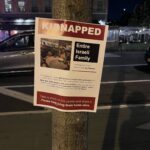 Mayor Lori Lightfoot Blames Chicago Retailers for Not Fighting Crime