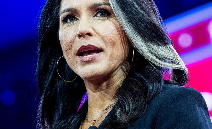 ormer Representative Tulsi Gabbard of Hawaii delivered a stark warning at CPAC about the existential threat facing American democracy. Credit: Michael Brochstein/Rex/Shutterstock