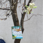 91-year-old Holocaust Survivor Perishes in Mariupol Basement