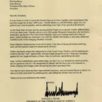 Mamdani’s Senior Adviser Elle Bisgaard-Church Draws Scrutiny for Anti-Israel Ties and DSA Influence