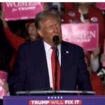 Polls: Donald Trump Leads All 7 Swing States on Election Morning