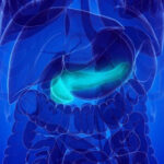 Frequent Use of Antibiotics Linked With Higher Odds for Crohn’s, Colitis
