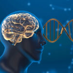 Product Recalls Have Doubled Since the Pandemic: New Study