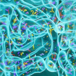 Trump’s Budget Seeks to Eliminate Some CDC, NIH Programs