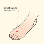 Watch Trump’s State of the Union address Tonight on TJV NEWS, 9PM