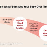 How Women Can Prevent Hair Loss by Nourishing the Liver and Kidneys