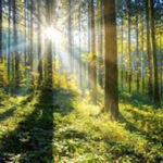 What Is Tisha B’Av?