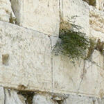 Parshas Matos-Maasei – The Power of Prayer