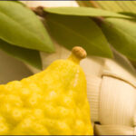 Parshas Ha’Azinu – Preserving the Awesome Level of Spirituality