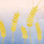 Parshas Acharei Mos & Kedoshim – The Path to Spirituality