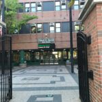 COVID and Cabin Fever Inspire New Uses of NYC Outdoor Space This Summer