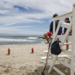 Bloodbath on Jersey Shore –Sharks Attack Dolphin on Long Beach Island
