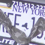 Adams Admin Looking for Corporate Sponsor to Name NYC Ferry After