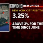 Uber Sustained Heavy Losses in NY; CEO Says Demand Finally Picking Up