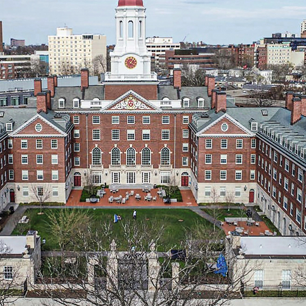 Are Ivy League degrees becoming a disadvantage for job seekers?|