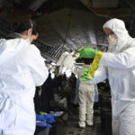 Lies, Transparency and Pandemics