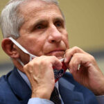New Novel Unveils the Very Real Threat of the Muslim Brotherhood in America