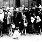 Ahead of Independence Day, 220 new immigrants from Ukraine