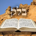 Parshas Balak – Be Like a Lion