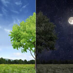 Parshas Mishpatim – The Stuff of Unity