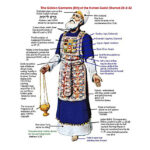 Watch Trump’s State of the Union address Tonight on TJV NEWS, 9PM