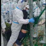 Israeli police arrest ISIS terrorist for 3 murders, including 2019 slaying of elderly couple