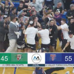 UConn, Stanford, SC, Louisville Headed to Women’s Final Four