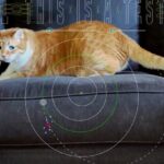 Financial Ratings Firm Morningstar Pulls Israeli Security Firm From Investment Blacklist