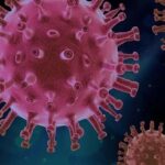 COVID Vax Development Chief: UK Virus Variant Doesn’t Appear To Be In US
