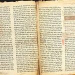Israel Antiquities Authority Showcases a Year of Remarkable Discoveries Unearthed Across the Land of Israel