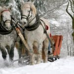 COVID puts a damper on Christmas Eve again around the world