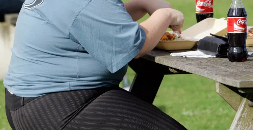 The Growing Obesity Epidemic in the US: Alarming Trends and Urgent Calls for Action