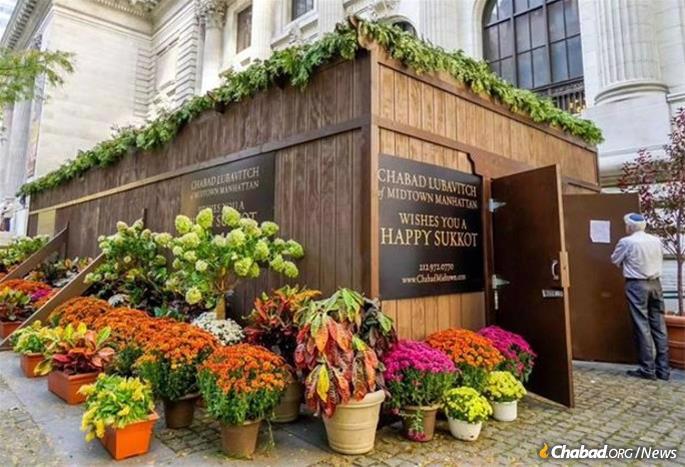 The Chabad of Mitown Manhattan Sukkah in front of the New York Public Library. - Poster courtesy Chabad of Midtown Manhattan