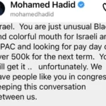 WATCH: Arab Israeli influencer gets attacked during pro-Hamas protests