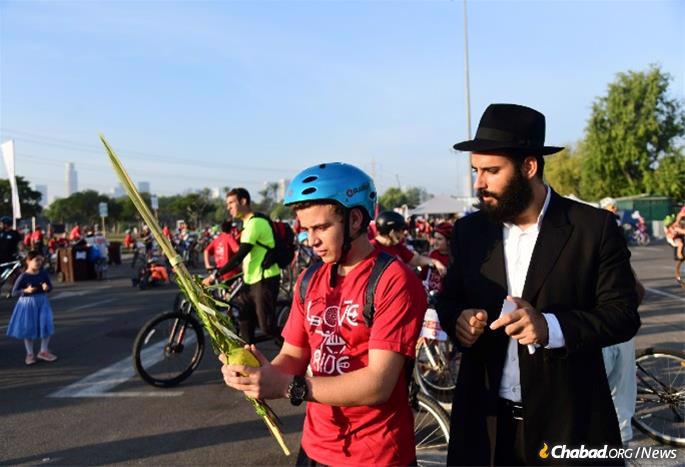 A young cyclist waves the lulav on the Ayalon Highway in Tel Aviv. - Photo by Flash90